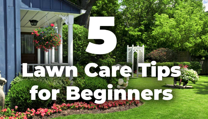 Essential Tips for Lawn Care & Weed Control Services